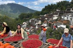 <b>后A公司部测试急用为由</b>